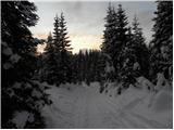 Planina Zajavornik - Vrh Razora